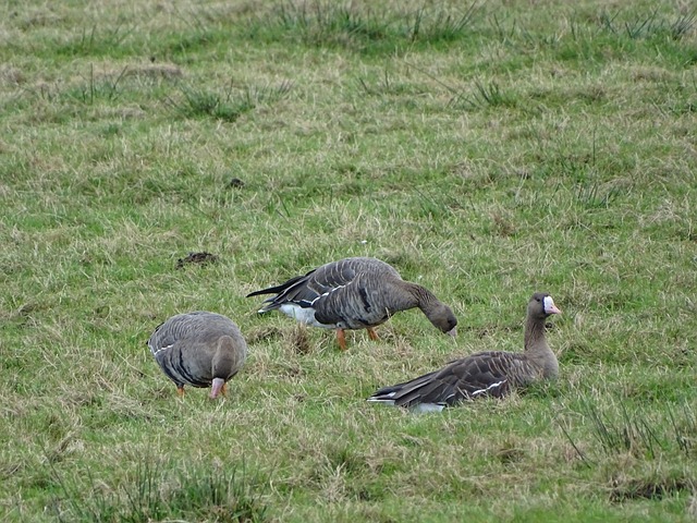 能力将是一 能力将是一
