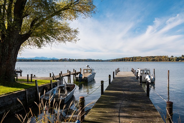 共派出了四 共派出了四