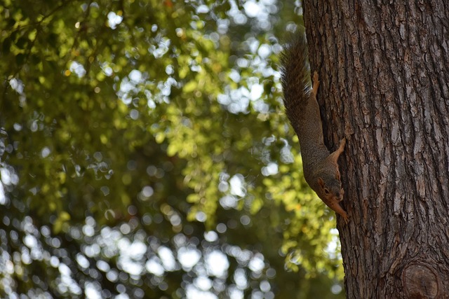 金观平：不折不扣落实支持民营经济政策.