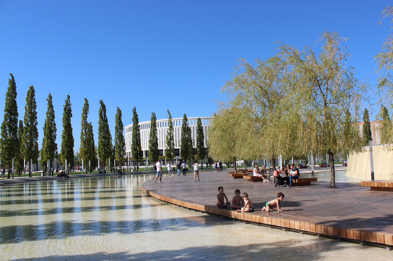 的独特平衡 的独特平衡