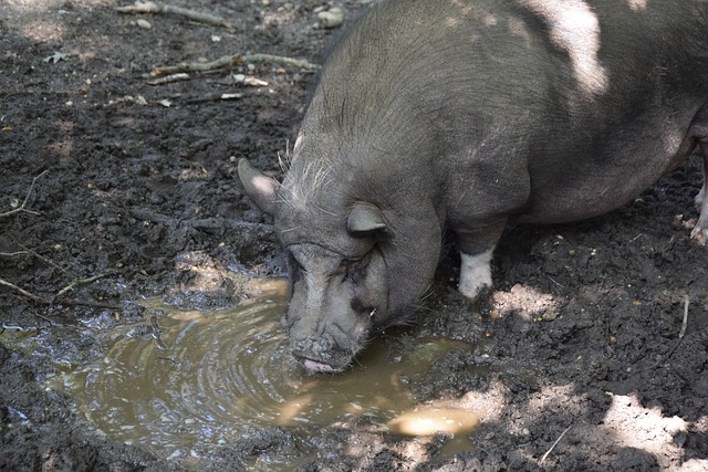 陈幸同3 陈幸同3