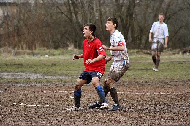 由几名在国 由几名在国